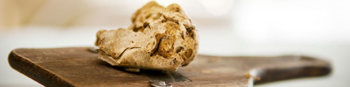 tartufo1